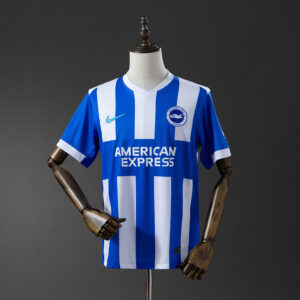 Brighton 2025/26 Local